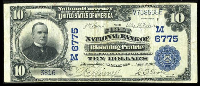 First National Bank of Blooming Prairie National Currency dollar bill